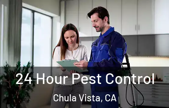  24 Hour Pest Control Chula Vista, CA