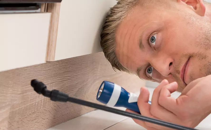 Top-Notch Pest Control in Chula Vista