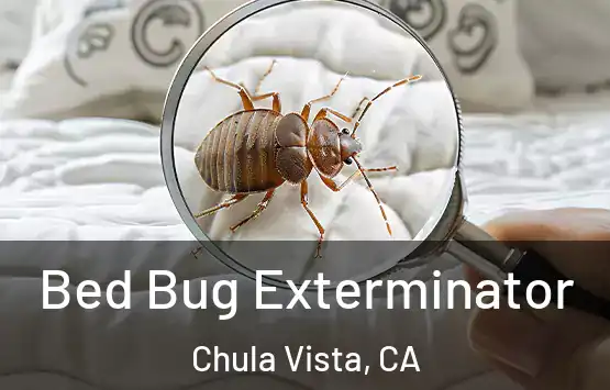  Bed Bug Exterminator Chula Vista, CA