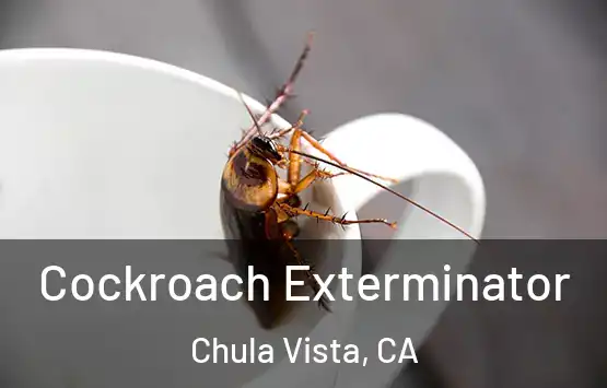  Cockroach Exterminator Chula Vista, CA
