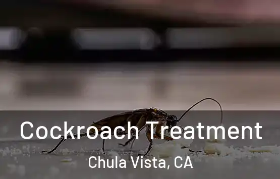  Cockroach Treatment Chula Vista, CA