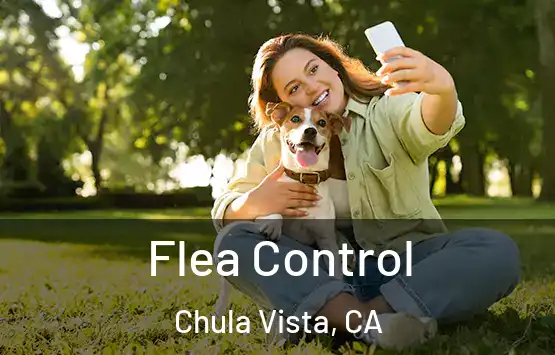  Flea Control Chula Vista, CA