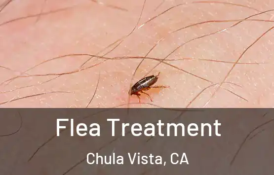  Flea Treatment Chula Vista, CA
