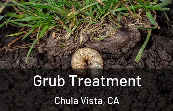 Grub Treatment Chula Vista, CA