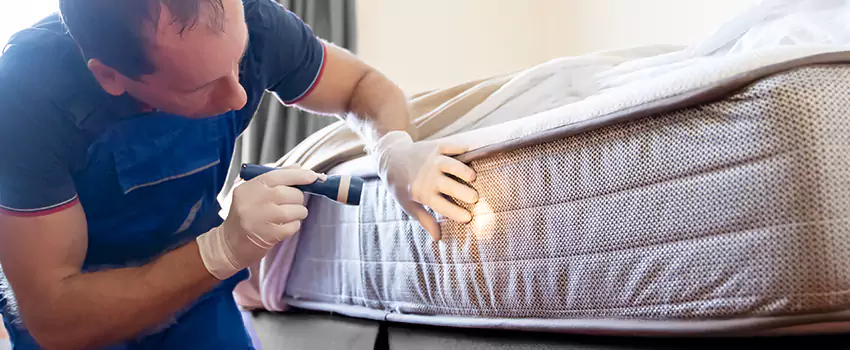 bed-bug-exterminator in Chula Vista, CA