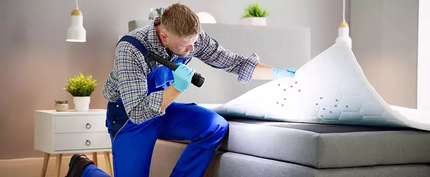 bed-bug-treatment in Chula Vista, CA