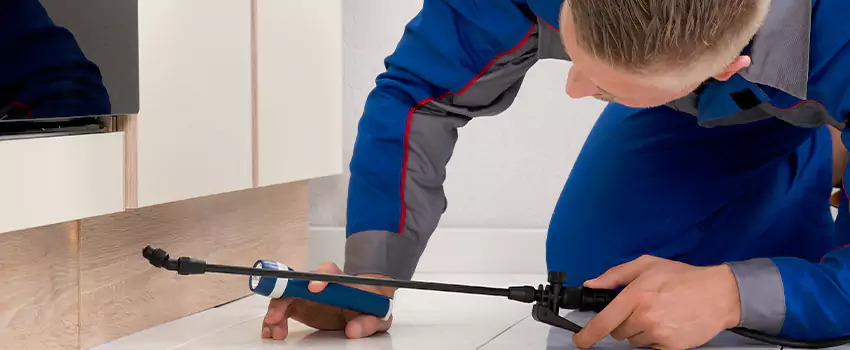 Commercial Pest Control for Offices in Chula Vista, CA