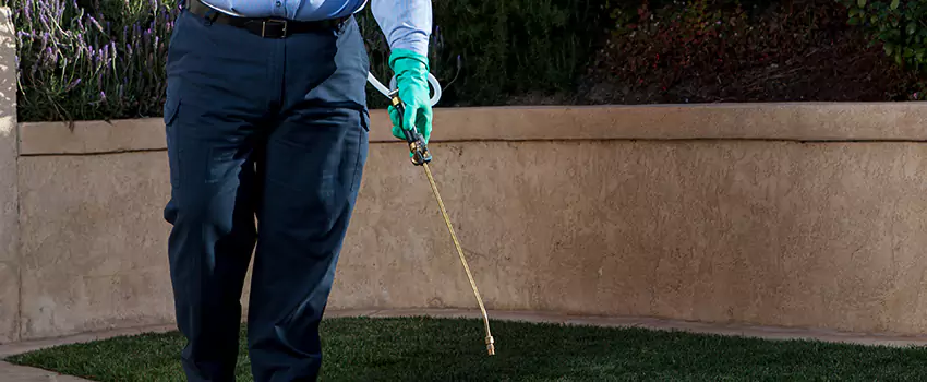 Emergency Pest Extermination for Children and Pets Chula Vista, CA
