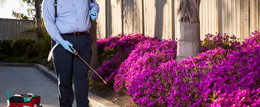 Commercial Mosquito Control Services in Chula Vista, CA