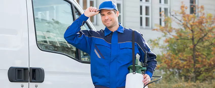 Organic and Chemical Spider Control Options Chula Vista, CA