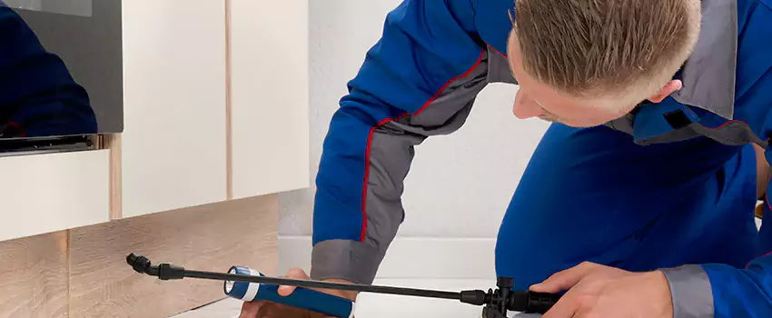 Termite Control for Children and Pets in Chula Vista, CA