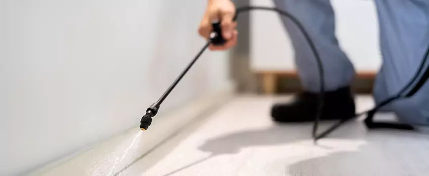 pest-exterminator in Chula Vista, CA