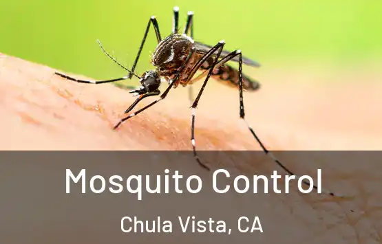  Mosquito Control Chula Vista, CA