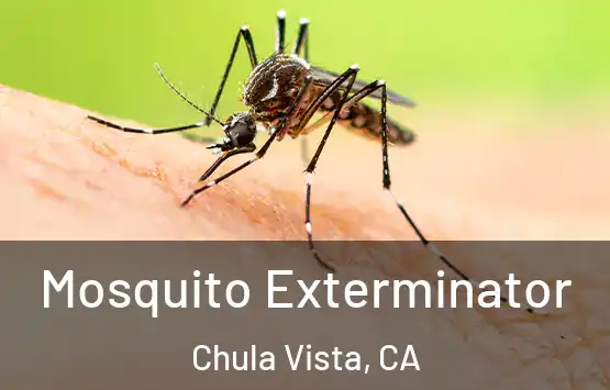  Mosquito Exterminator Chula Vista, CA