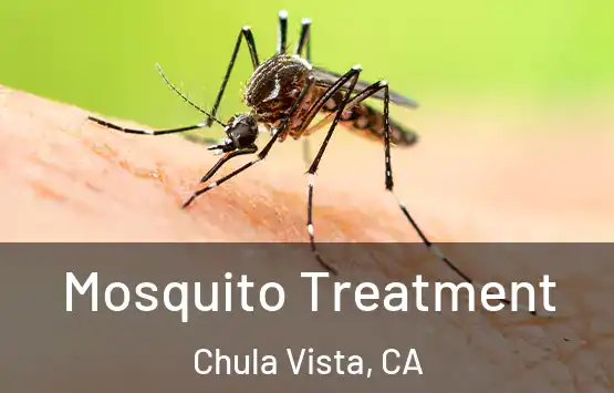  Mosquito Treatment Chula Vista, CA