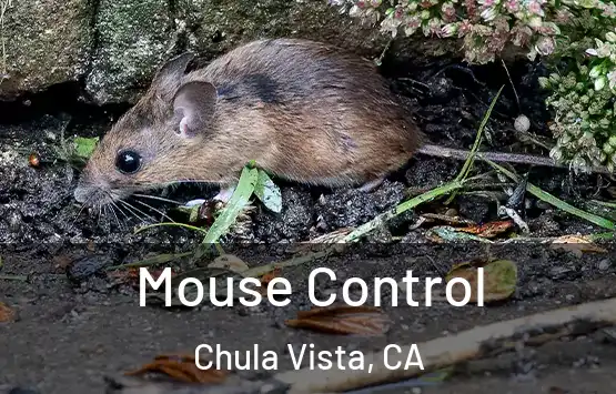  Mouse Control Chula Vista, CA