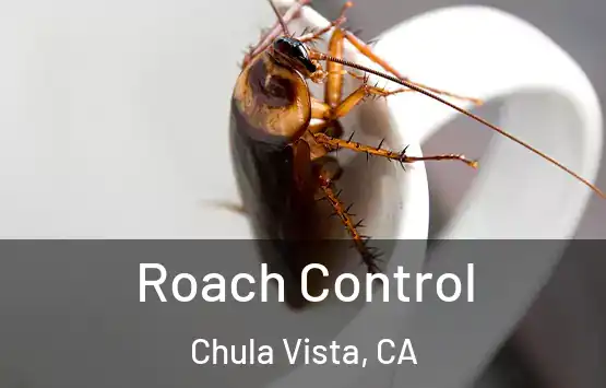  Roach Control Chula Vista, CA