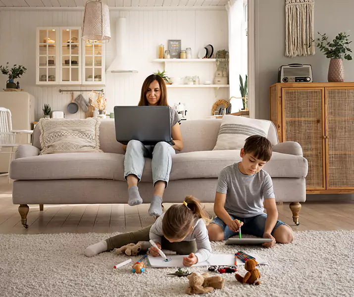 About Mice Control Chula Vista