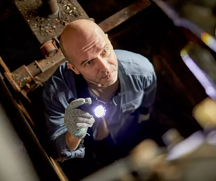 About Pest Inspection Chula Vista