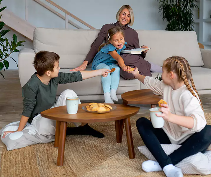 About Spider Exterminator Chula Vista