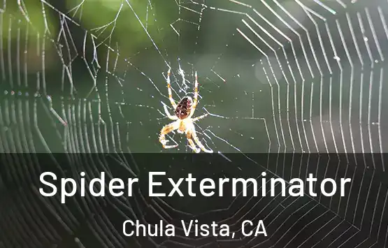  Spider Exterminator Chula Vista, CA