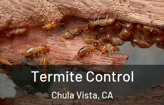 Termite Control Chula Vista, CA