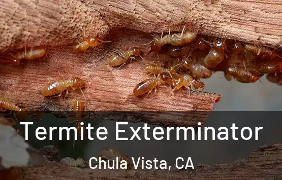  Termite Exterminator Chula Vista, CA