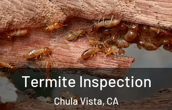  Termite Inspection Chula Vista, CA