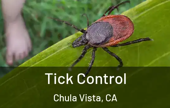  Tick Control Chula Vista, CA