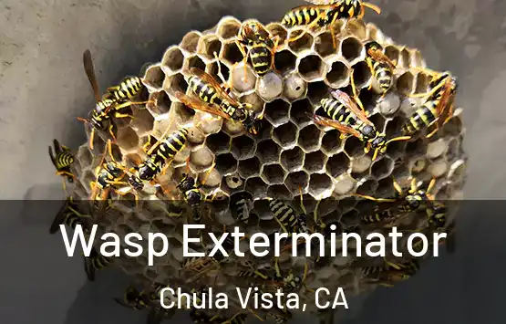  Wasp Exterminator Chula Vista, CA